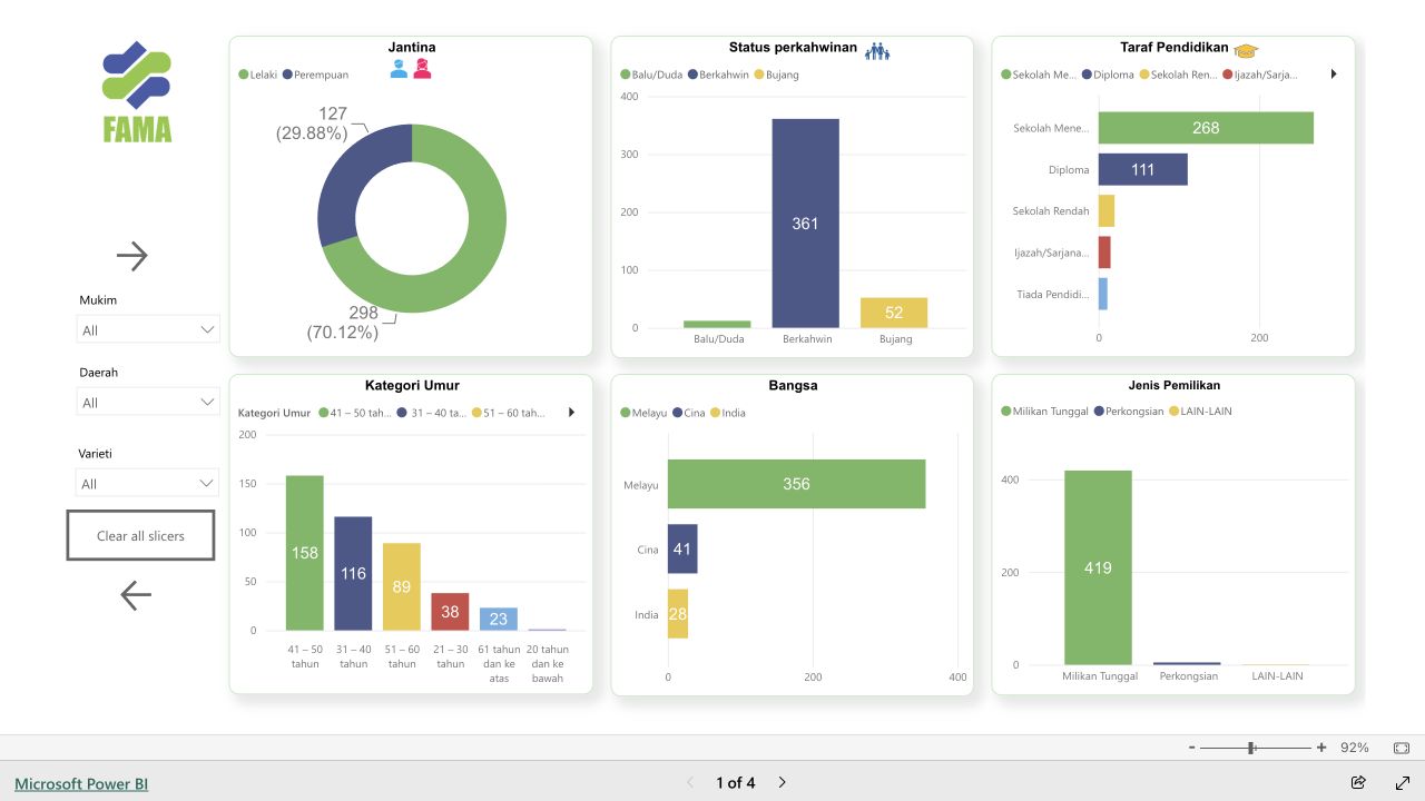 FAMA marketers Power BI overview with demographic profiles, education and business ownership charts